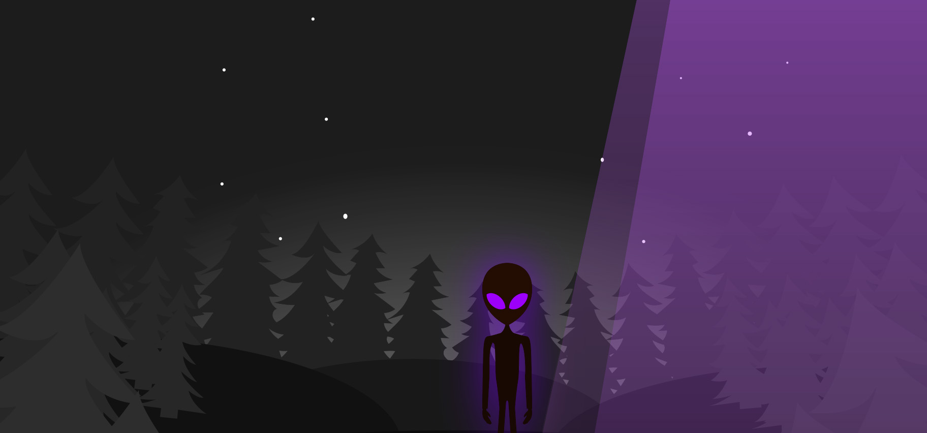 Test Banner 3